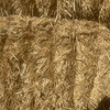 Wheat/Barley Straw 550Kg 8x4x3 Bales