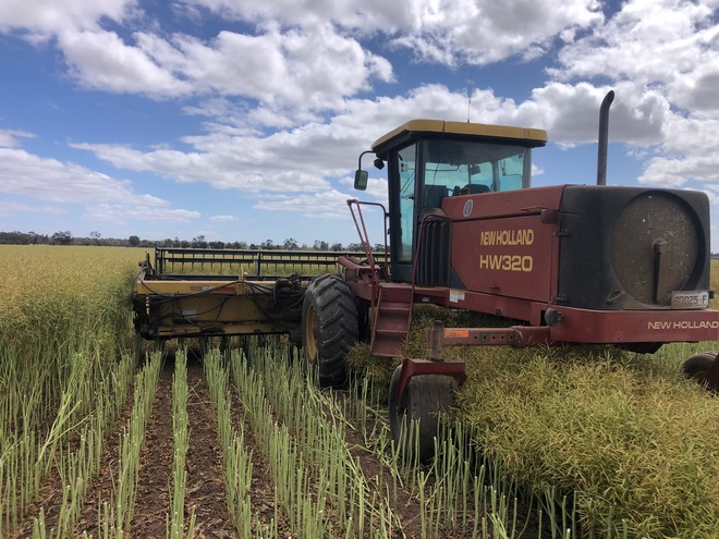 New Holland HW320 Windrower