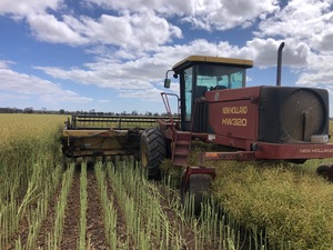 New Holland HW320 Windrower