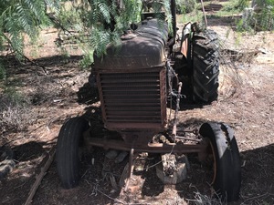 (A134) - Antique Fordson Tractor With Rubber Wheels (No 2)