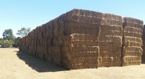 500mt Pasture Hay 8x4x3 
