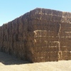 500mt Pasture Hay 8x4x3 