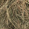 250 x 500kg 8x4x3 Bales of New Season Hay (2 Varieties) 