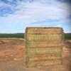 70mt Vetch Hay 700kg 8x4x3 Bales