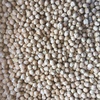 Chickpeas Kabuli #2 Grade Approx12.5 Tonne