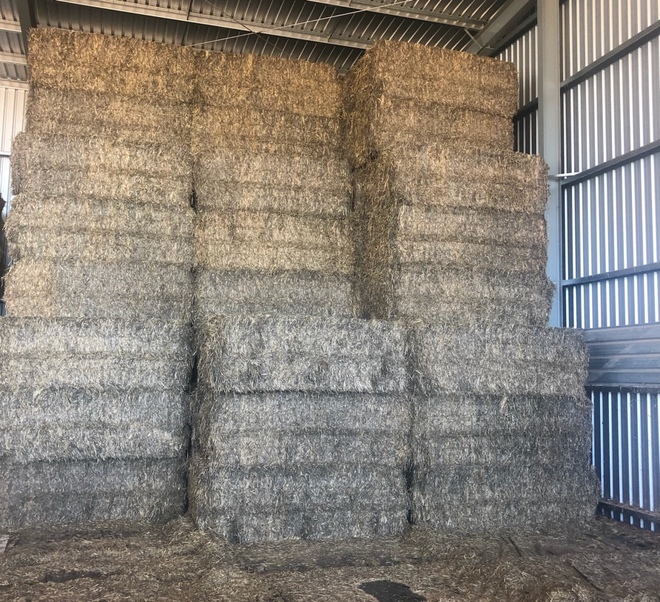 58mt Wheaten Hay 700kg 8x4x3 Bales + Freight