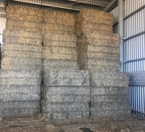 58mt Wheaten Hay 700kg 8x4x3 Bales + Freight