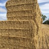 100 x Wheaten Straw 460kg 8x4x3 Bales