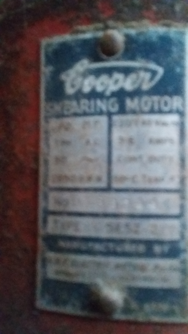 4 x Sunbeam Shearing Plants