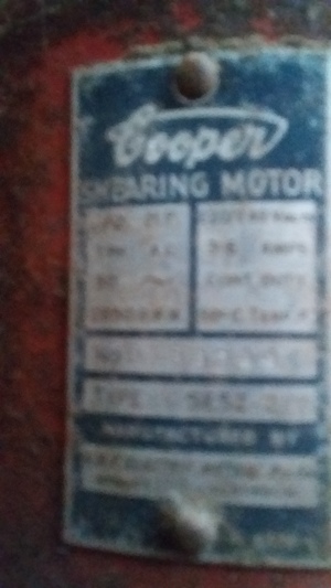 4 x Sunbeam Shearing Plants