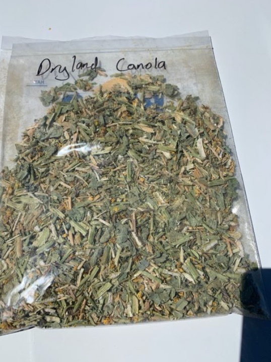 Dryland Canola Hay 600-650kg 8x4x3 Bales + Freight