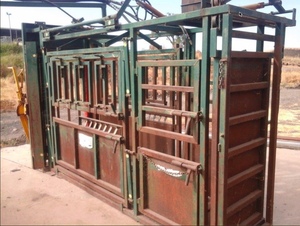 Arrow Full Vet Cattle Crush  