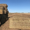 80mt Canola Hay/Straw 600kg approx. 8x4x3 Bales
