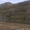 1 x B Double load of Clover & Oaten Hay For Sale