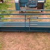 Peak Hill Sheep Handler 
