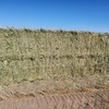 500mt Wheaten Hay 580-600kg 8x4x3 Bales 'New Season'