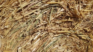 Oaten Hay Rounds