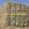 Vetch Hay 620kg 8x4x3 Bales 