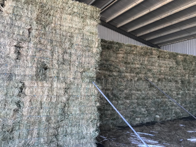 Rye/Clover Small Squares   650 Bales (1 Semi Load)
