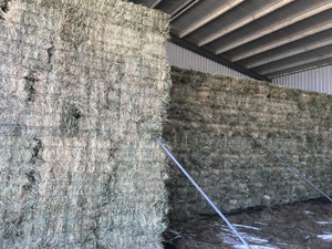 Rye/Clover Small Squares   650 Bales (1 Semi Load)