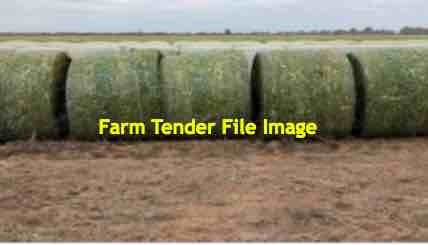 20mt Canola Hay 5x4 Rounds