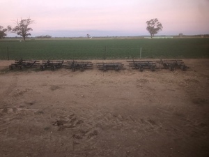 Flexicoil Finger Tyne Harrows 