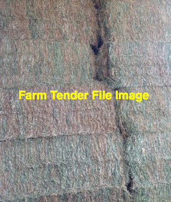 1 x B-Double Load of Vetch Hay 8x4x3 Bales