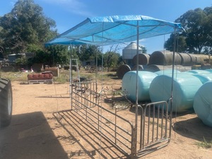 Lamb Marking Cradles x 4 