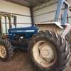 Ford 5600 FWA Tractor with Forks