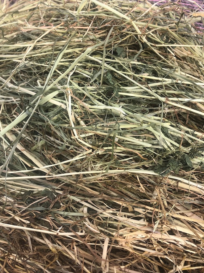 300 x Shaftal Clover & Rye 5x4 Rolls