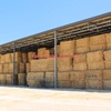 Pasture & Oaten 5x4 Rounds and 8x4x3 Bales