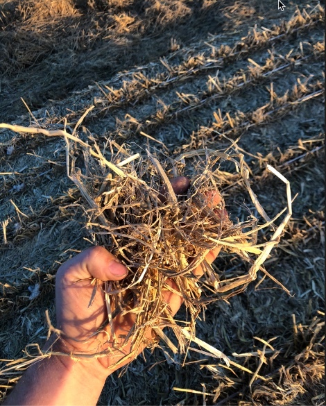 500mt Rice Straw 8x4x3 