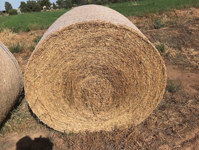 45 x Lucerne Hay 410kg 5x4 Bales