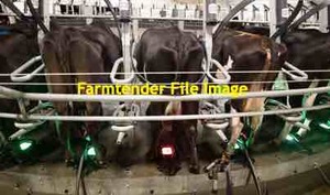 30 x Westfalia Cup Removers