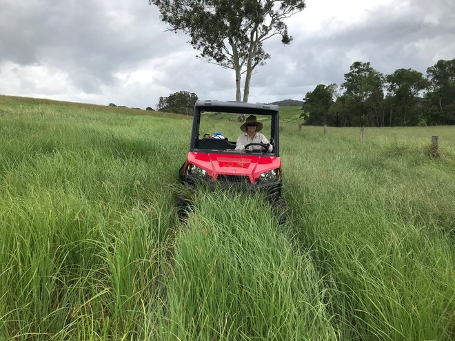 Rhodes Grass Haylage wrapped 4x4 Rounds (new season)