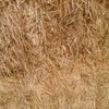 Organic Oaten Hay . USDA and NOP Accredited .  