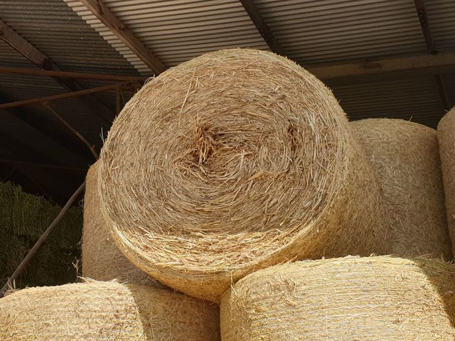 Oaten Hay Round Bales