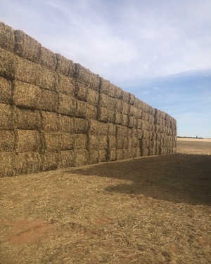 150mt Oaten Hay 650kg 8x4x3 Bales + Freight
