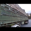 40ft 2 deck stock crate