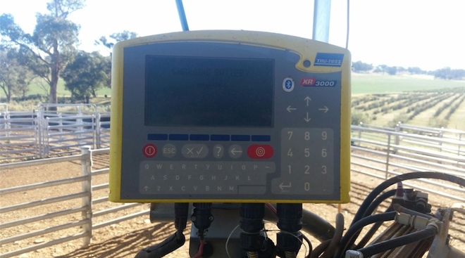 2015 Gallagher Pneumatic Auto Drafter & Handler ##PRICE REDUCED##