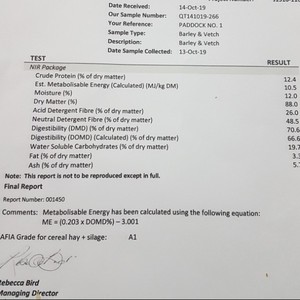 Cereal & Vetch Hay 8x4x3 Bales