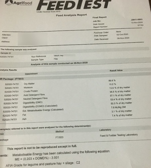350mt Vetch Hay 550kg 8x4x3 Bales (New Season)