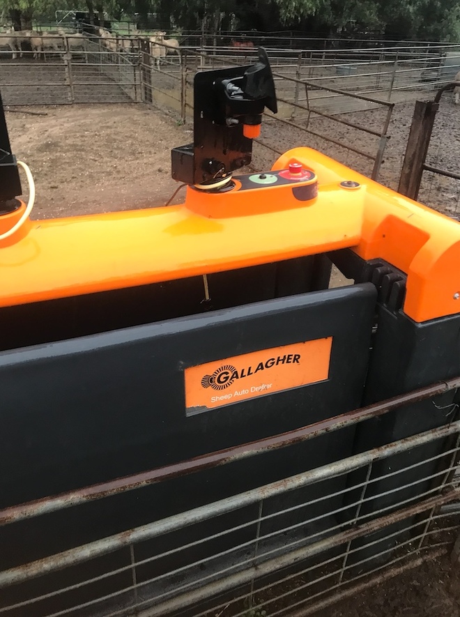 Gallagher 3 Way Sheep Auto Drafter