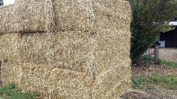 42 - 8x4x3 HD - Oaten Straw approx 490 kg