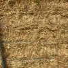 wheaten hay