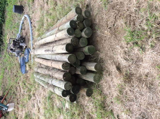 Under Auction - New Treated Pine Posts - 2% + GST Buyers Premium On All Lots 