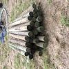 Under Auction - New Treated Pine Posts - 2% + GST Buyers Premium On All Lots 