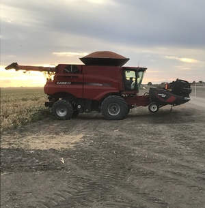 Harvesting / Baling Work Wanted .  NSW , Victoria
