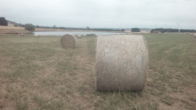 Lucerne & Rye Grass Hay 5x4 Round Bales