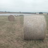 Lucerne & Rye Grass Hay 5x4 Round Bales